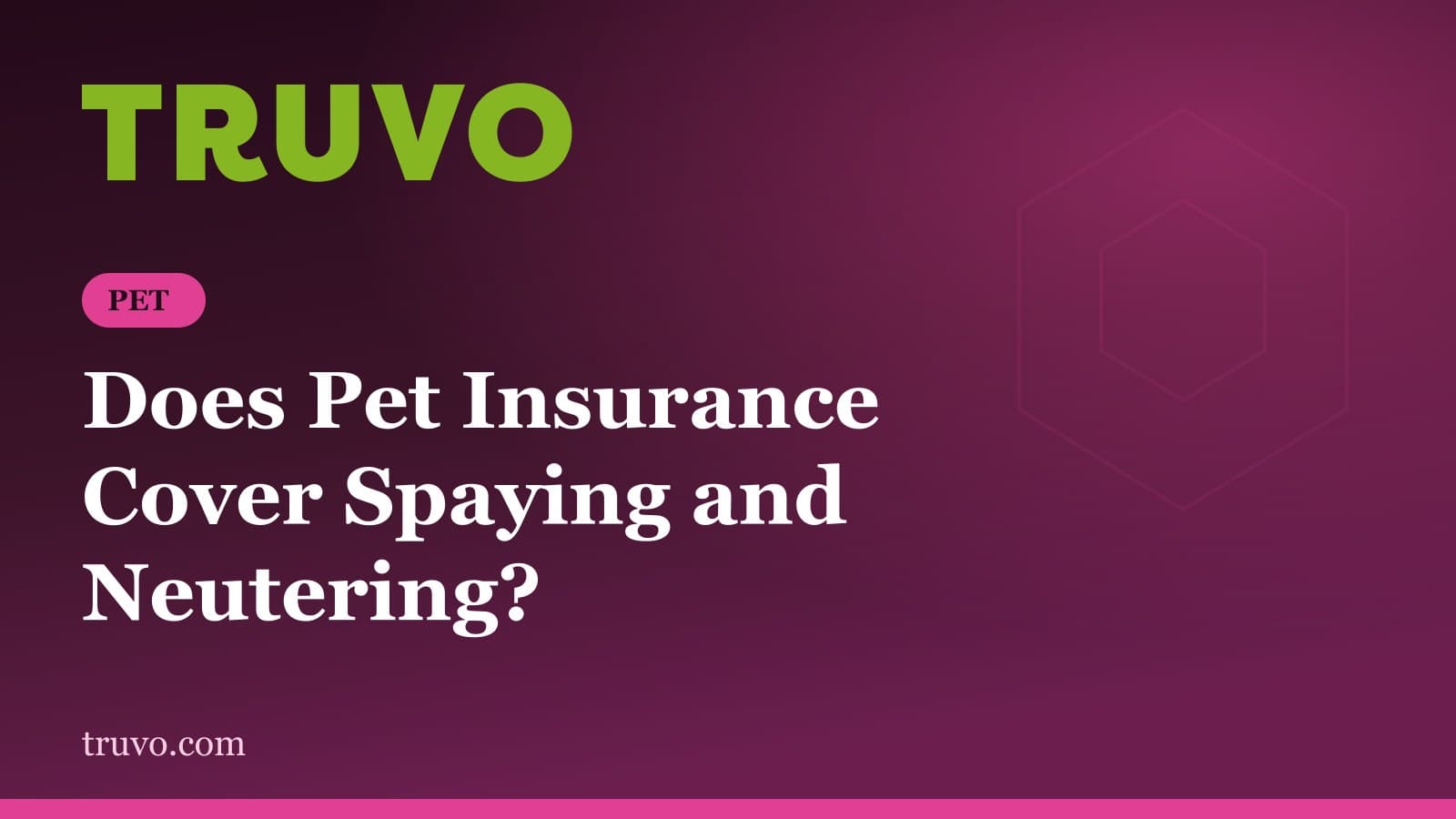 Does Pet Insurance Cover Spaying and Neutering?
