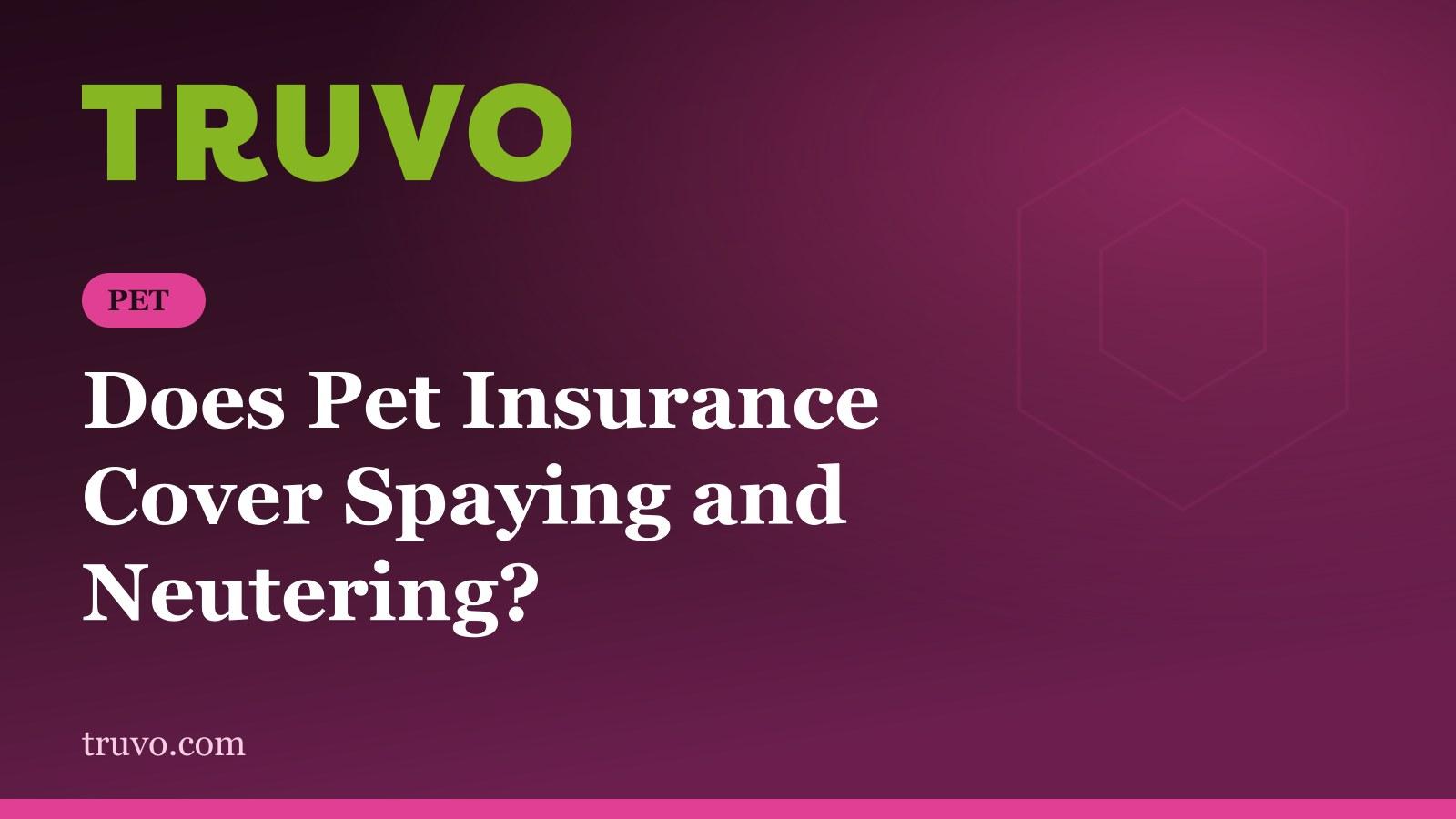 Does Pet Insurance Cover Spaying and Neutering?