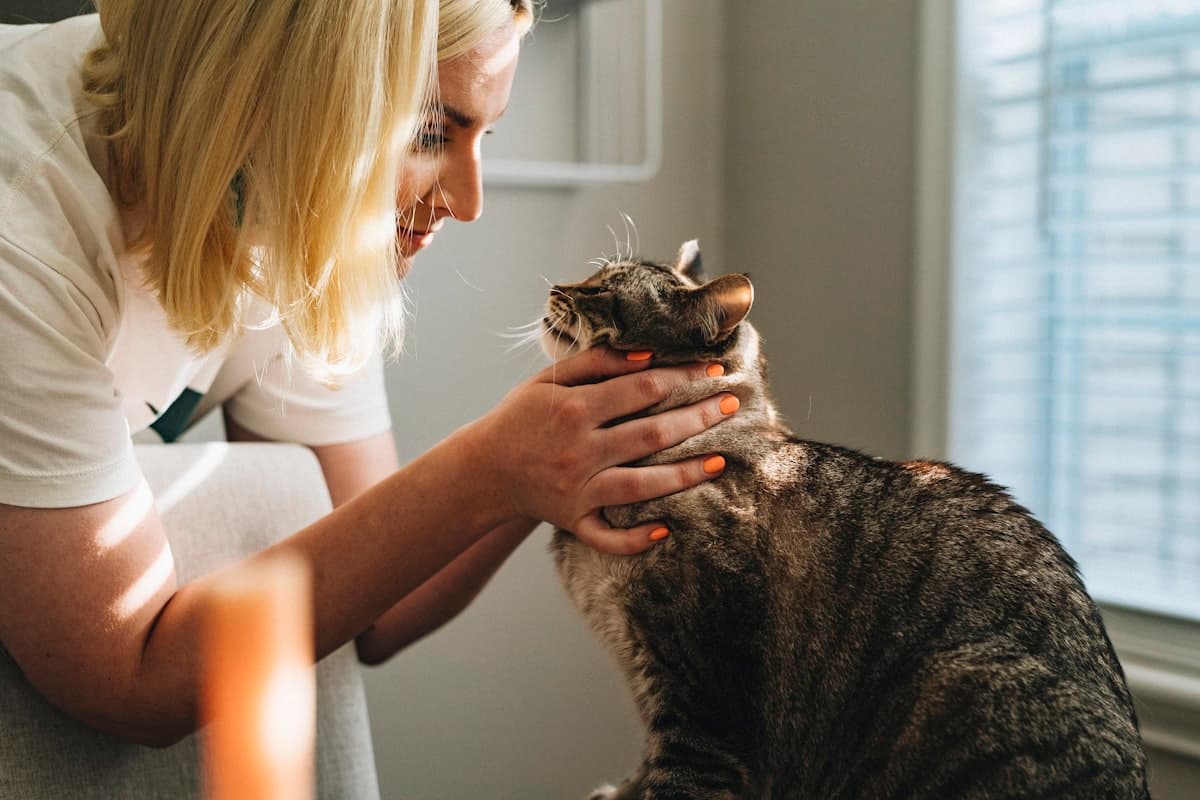 Pet Insurance Claim Process: How to File and Get Paid Faster
