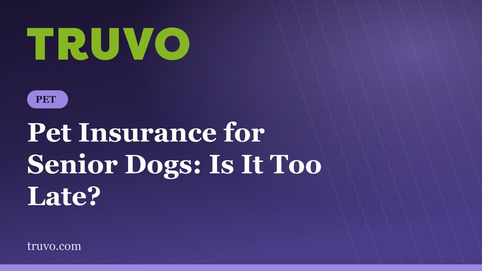 Pet Insurance for Senior Dogs: Is It Too Late?