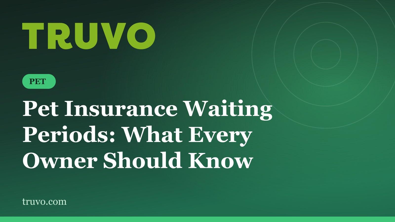 Pet Insurance Waiting Periods: What Every Owner Should Know